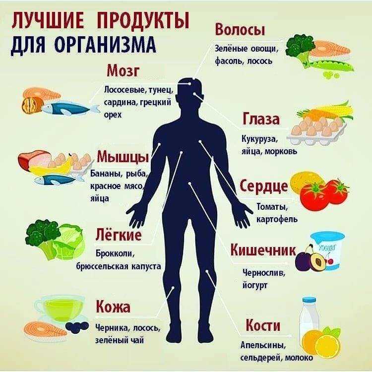 В каких продуктах содержится коллаген: таблица еды, богатой коллагеном для кожи и суставов