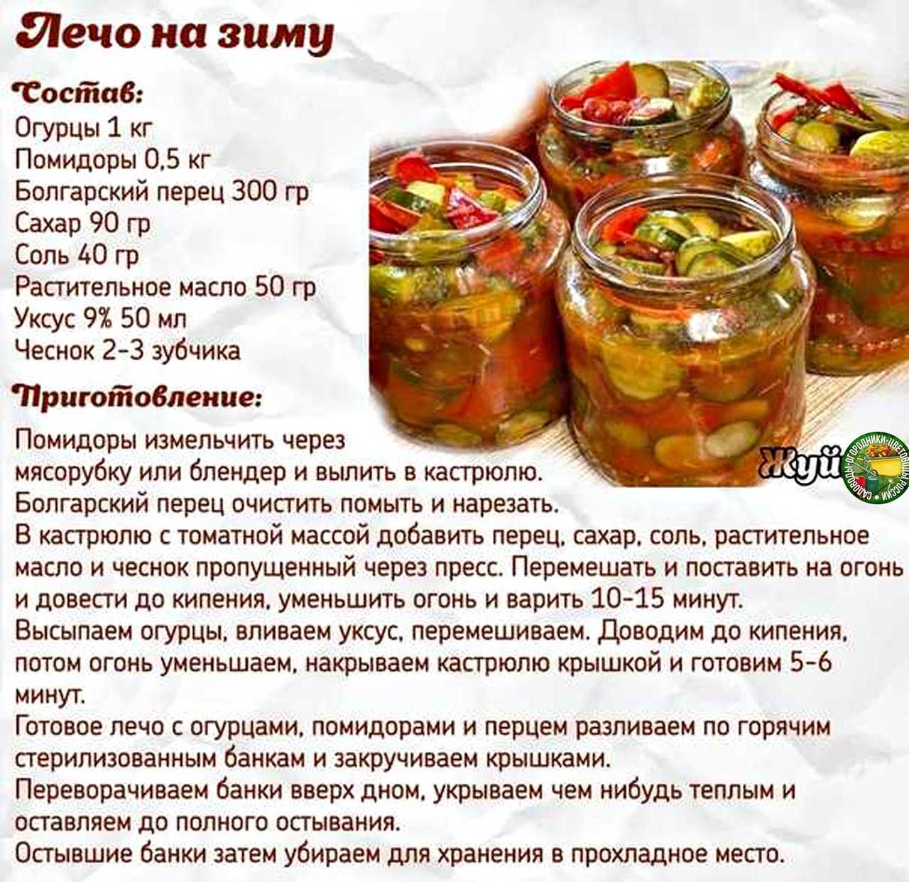 Огурцы соленые на зиму, хрустящие: в банках для хранения в квартире, 10 лучших рецептов