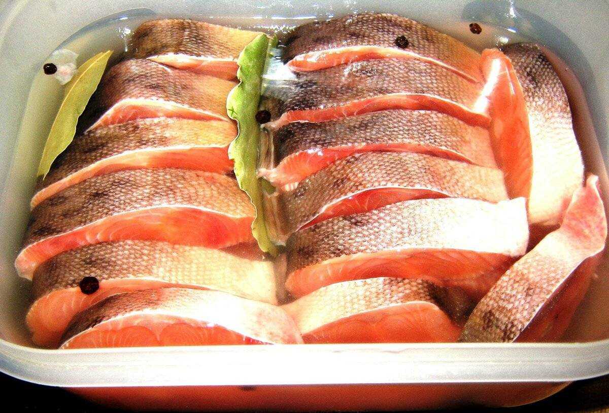 Как засолить семгу в домашних условиях вкусно и быстро