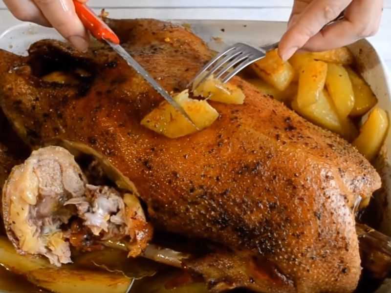 Гусь с яблоками и черносливом - как фаршировать и готовить в духовке, мультиварке или утятнице