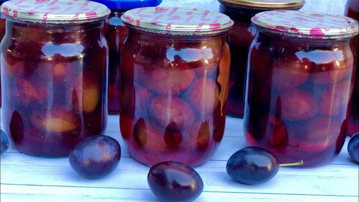 Консервируем сливы на зиму: компот, маринованные сливы, ткемали из сливы (классический простой рецепт), вино в домашних условиях