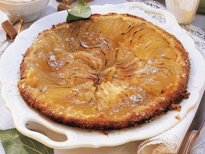 Луковый пирог - как приготовить пошагово вкусное тесто и начинку по рецептам с фото