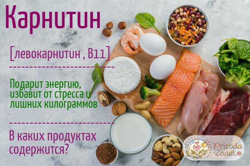 Карнитин в продуктах питания: таблица, в каких содержится больше всего