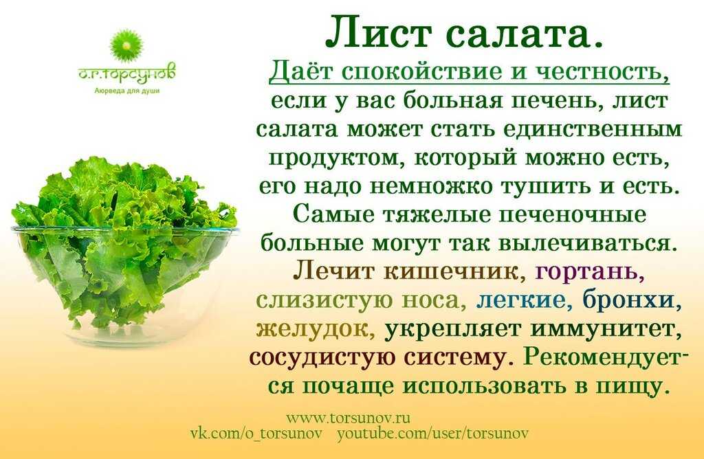 Салат витаминный: как приготовить блюдо, фото