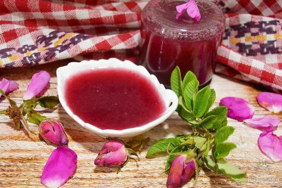 Еловая хвоя и молодые побеги