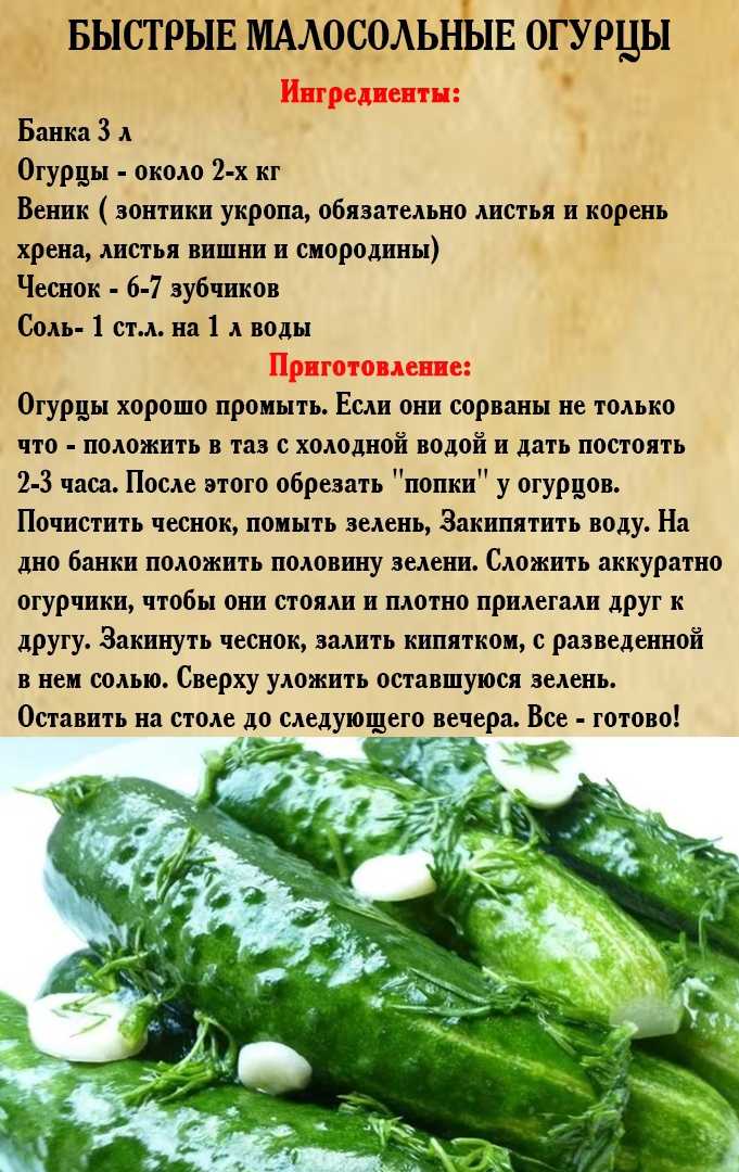 Соленые хрустящие огурцы на зиму в банках -  рецепты засолки самых вкусных огурчиков