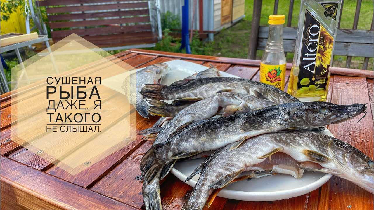 Вяленый окунь: как правильно вялить, способы его завялить