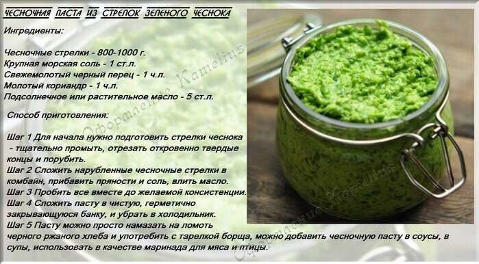 Необычные заготовки и приправы из чеснока. рецепты с фото