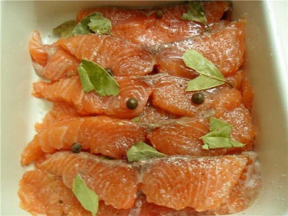 Как посолить кету в домашних условиях: вкусно, быстро, по правилам