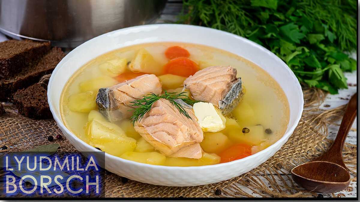Рецепты приготовления французского сырного супа пюре: классический вариант, на бульонах, с добавками
