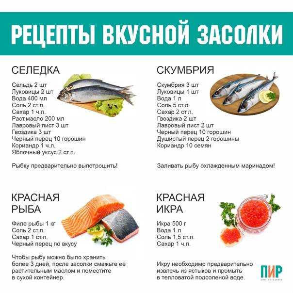 Как вялить рыбу в домашних условиях правильно: рецепт; температура