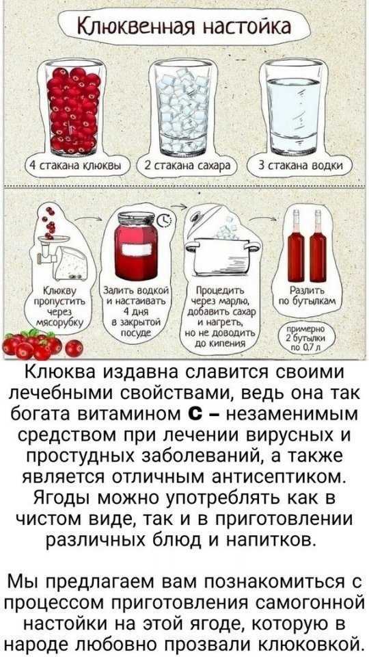 Наливка из сливы в домашних условиях: простой рецепт