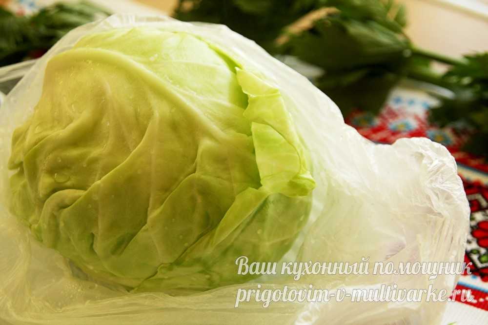 Как варить капусту | сколько варить капусту