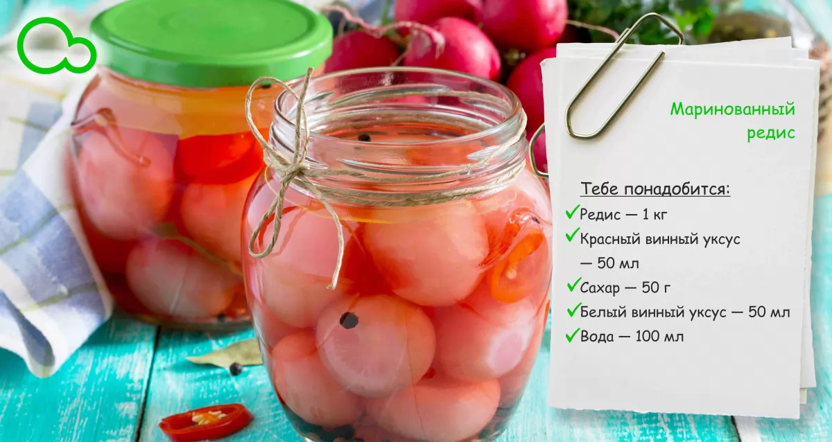 Заготовки на зиму: редис маринованный, салат из редиса - samchef.ru