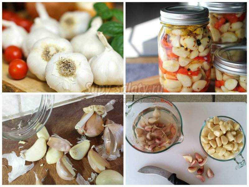 Вкусный чеснок на зиму: золотые рецепты с фото. топ - 10 лучших
