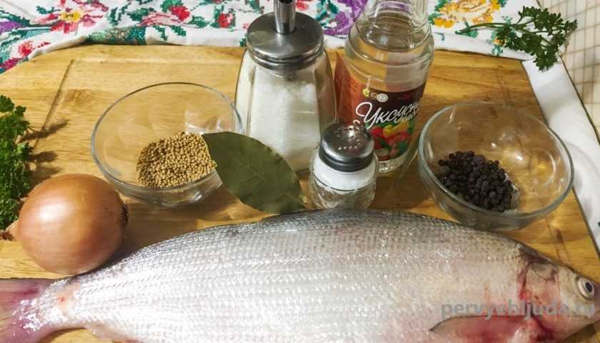 Как солить пелядь в домашних условиях вкусно