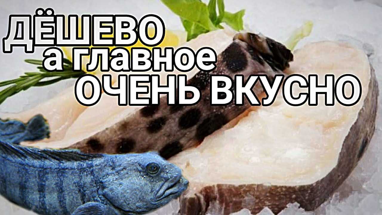 Как приготовить зубатку вкусно и полезно: 8 диетических рецептов