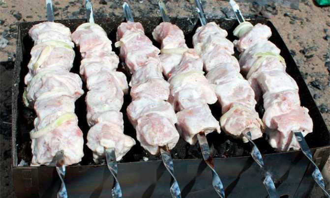 Шашлык из свинины: топ-8 самых вкусных маринадов для шашлыка из свинины, чтобы мясо было мягким и сочным