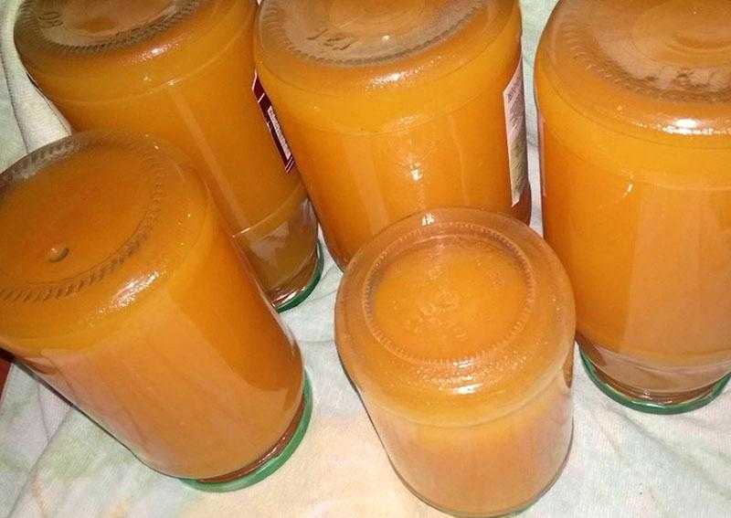 Как приготовить и пить сок из яблока и тыквы