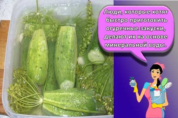 Хрустящие огурцы на зиму в банках для хранения в квартире