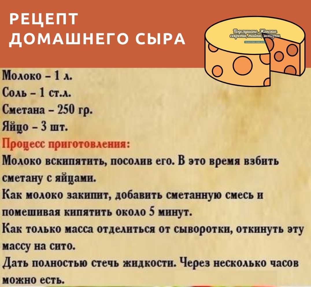 Сыр брынза в домашних условиях- рецепты из козьего и коровьего молока