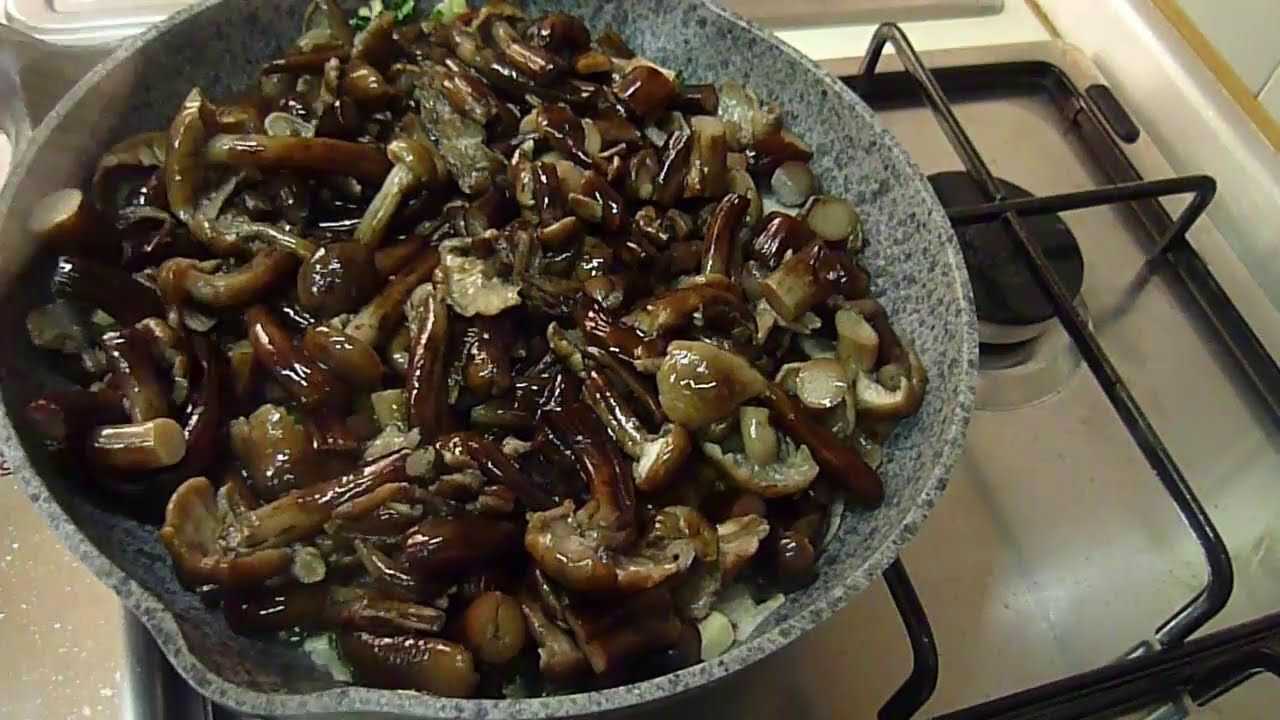 Солянка из капусты с грибами на зиму — 5 рецептов с фото «пальчики оближешь!»