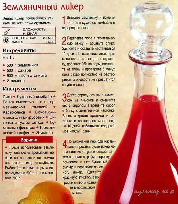 Чем отличается наливка от настойки: основная разница напитков