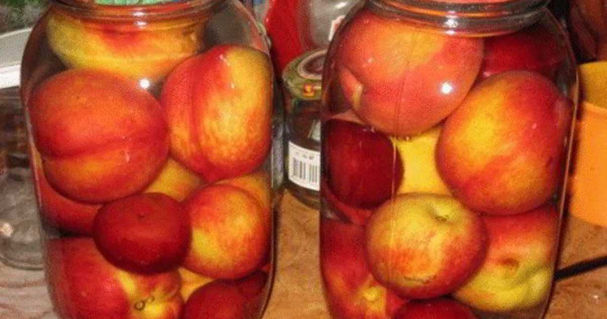 Компот из нектаринов на зиму -пошаговый рецепт с фото