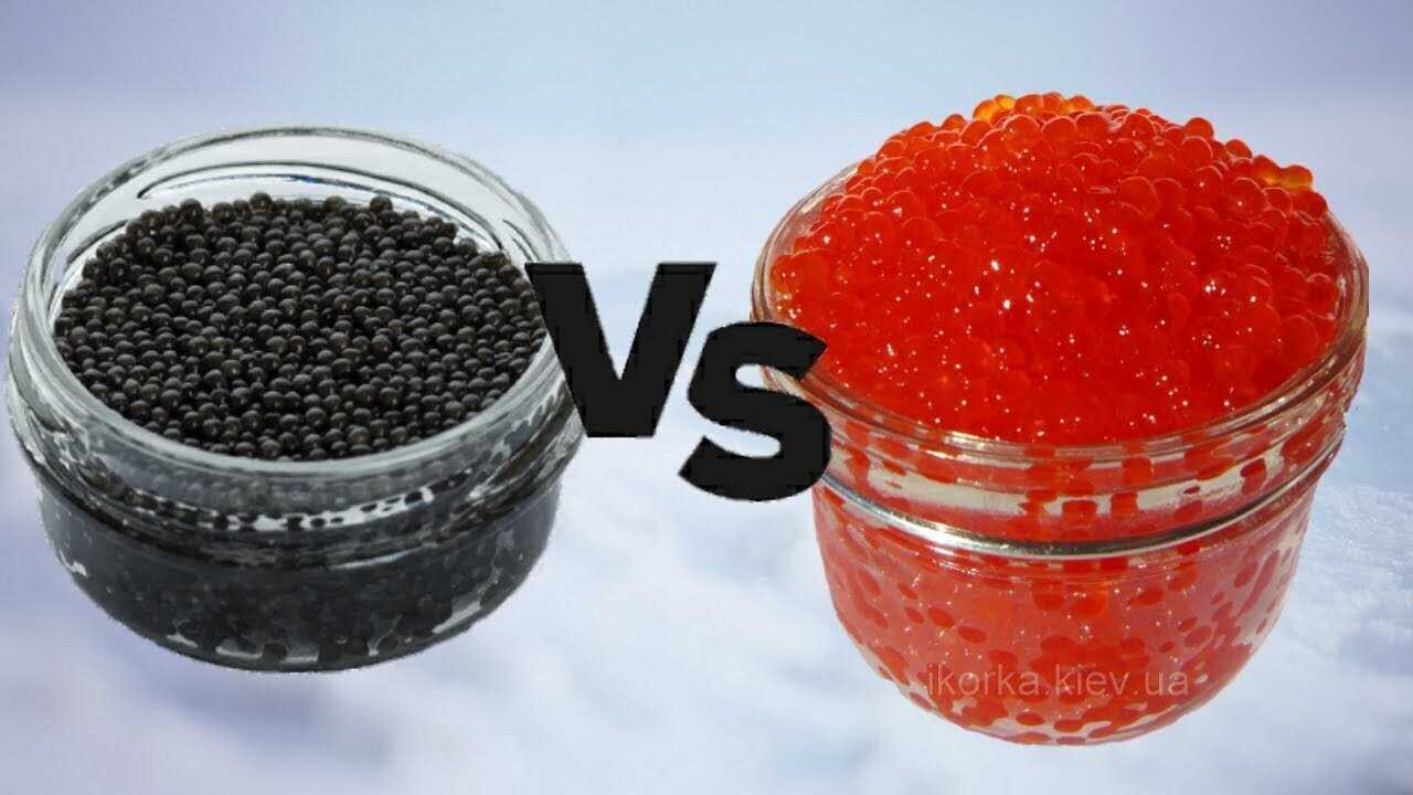 Топ-10. самая вкусная красная икра