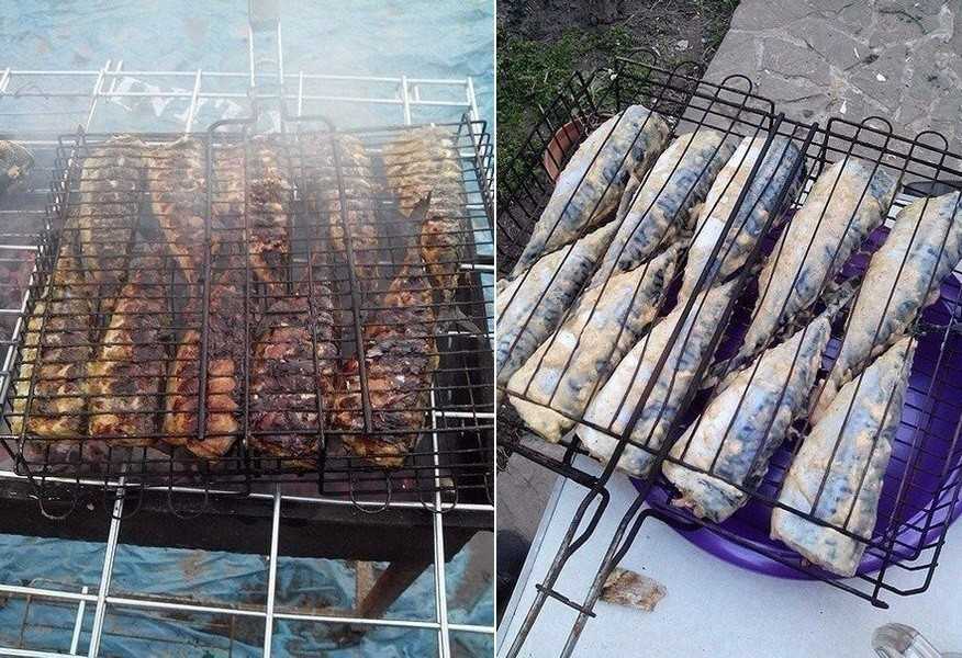 12 рецептов рыбы на мангале для настоящих гурманов