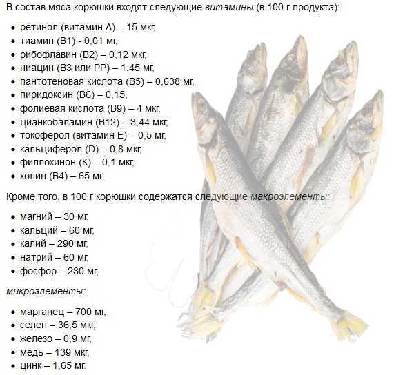 Калорийность, БЖУ, полезные свойства копченой корюшки Как подготовить корюшку к копчению Особенности копчения корюшки горячим и холодным методами