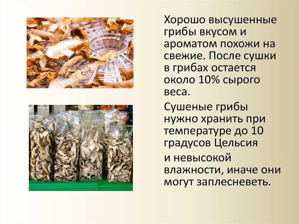 ✅ можно ли грибы маслята сушить - усадьбанатали.рф