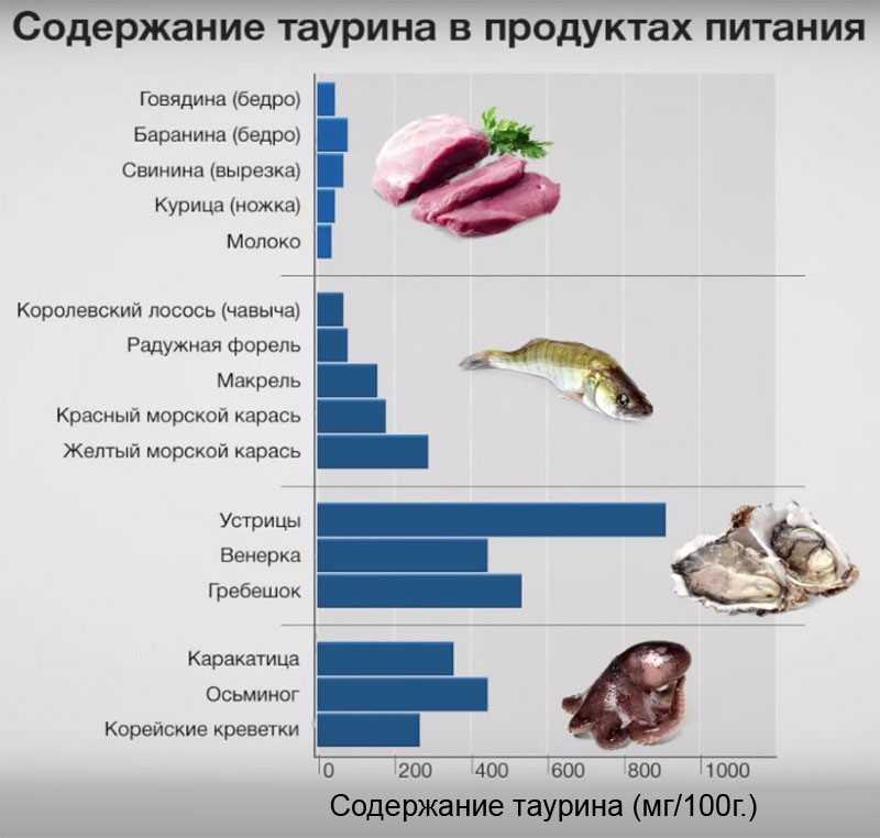 Таурин: для чего используют в спорте, как применяют, его свойства