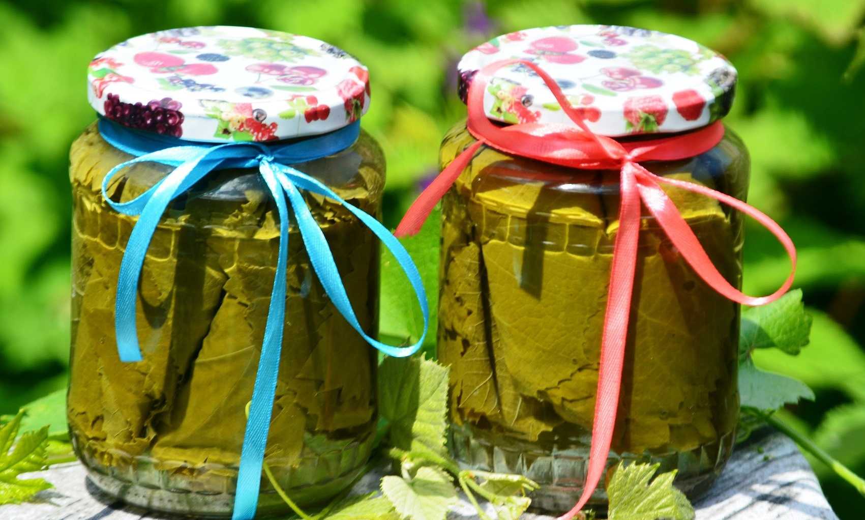 Виноградные листья для долмы консервированные: 5 рецептов заготовки с фото и видео