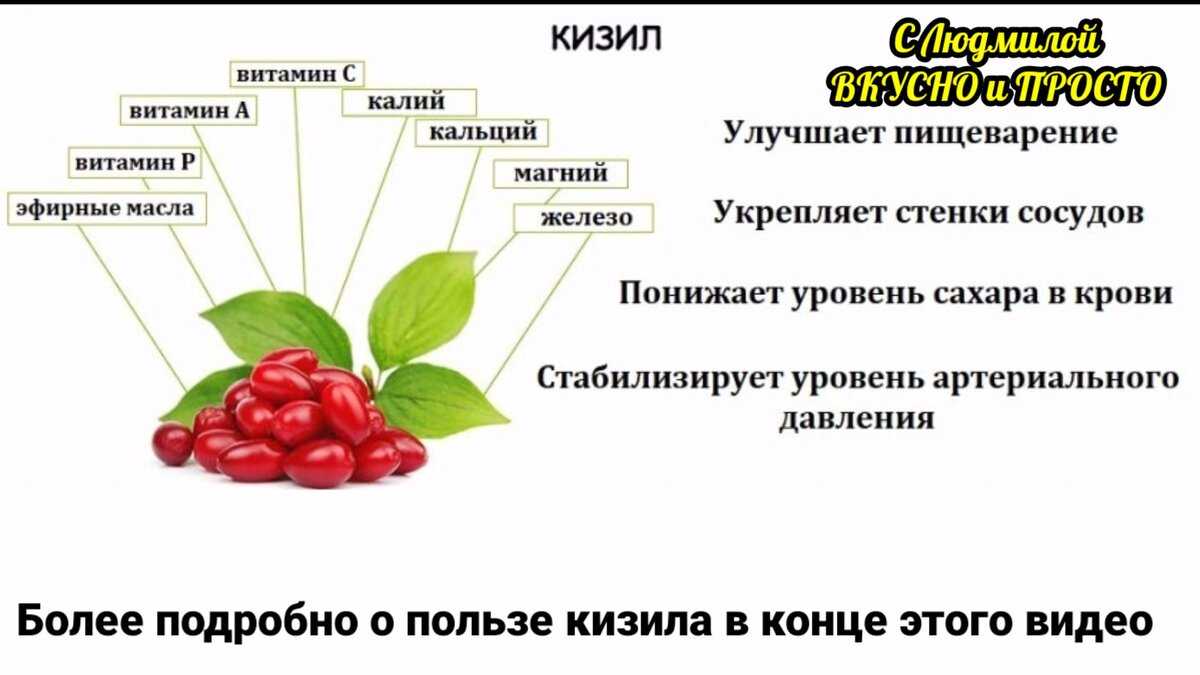 Сладкий и полезный кизил: ценные свойства сушеной ягоды