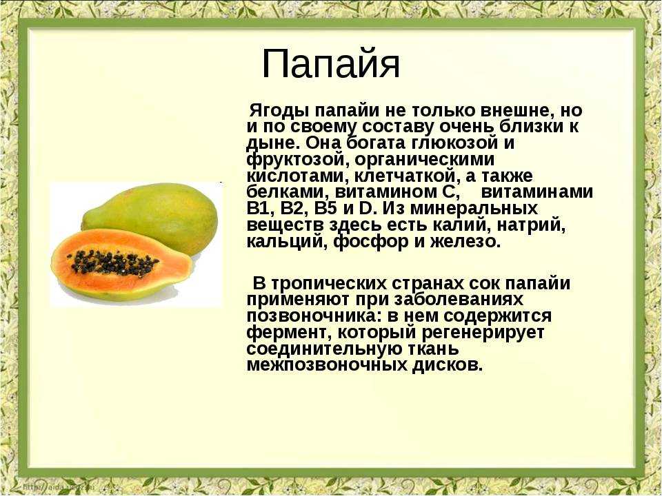Подробное описание приготовления сушёной папайи в домашних условиях разными способами: в естественных условиях, в духовке, в морозилке Полезные свойства и вред фрукта для организма Способы хранения