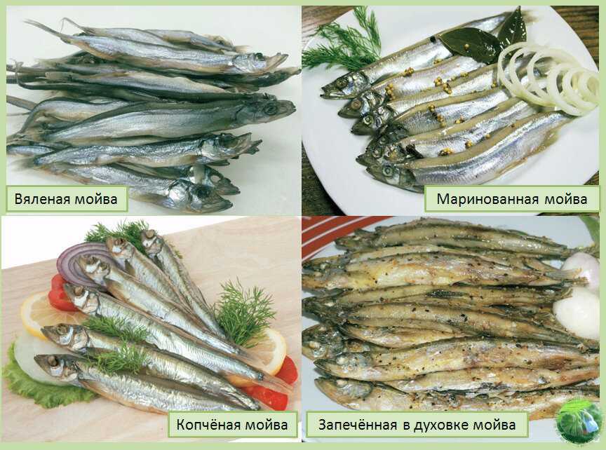 Копченая корюшка рецепты приготовления