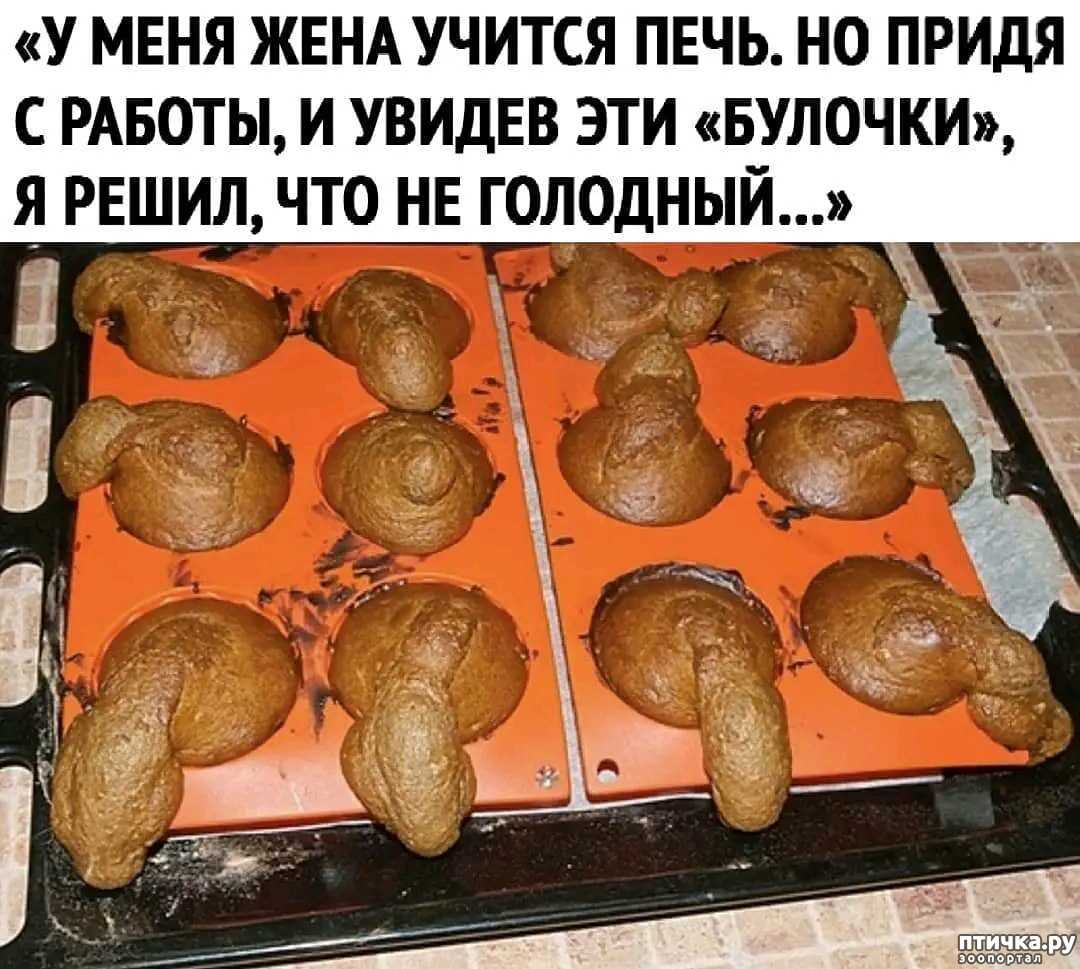 Шашлык — как правильно приготовить мясо, простой но вкусный маринад , соус и другие секреты