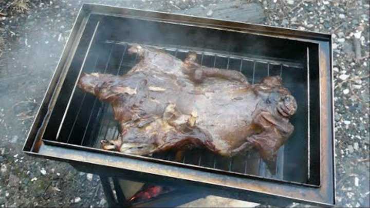 Как приготовить бобра вкусно: лучшие рецепты с фото - truehunter.ru