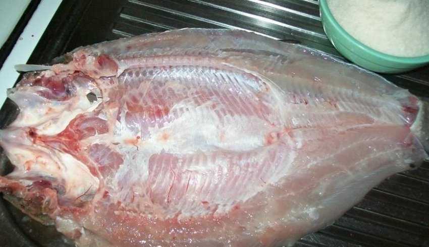 Балык из жереха, рецепт приготовления в домашних условиях - женский журнал wumens.su