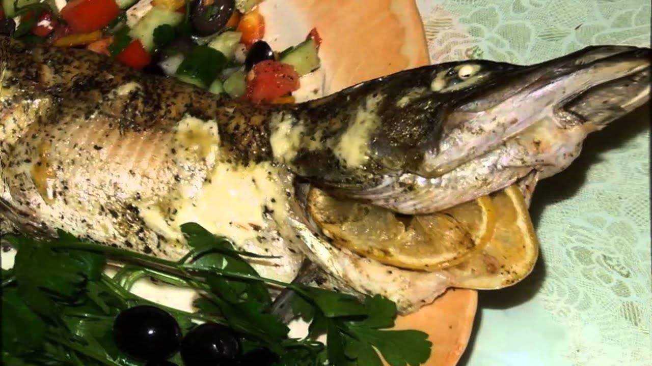 Щука в сметане: как приготовить в духовке, на сковороде, рецепты приготовления