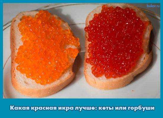 Шесть лососевых: как выбрать красную икру