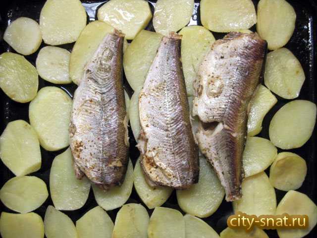 Как посолить пелядь вкусно