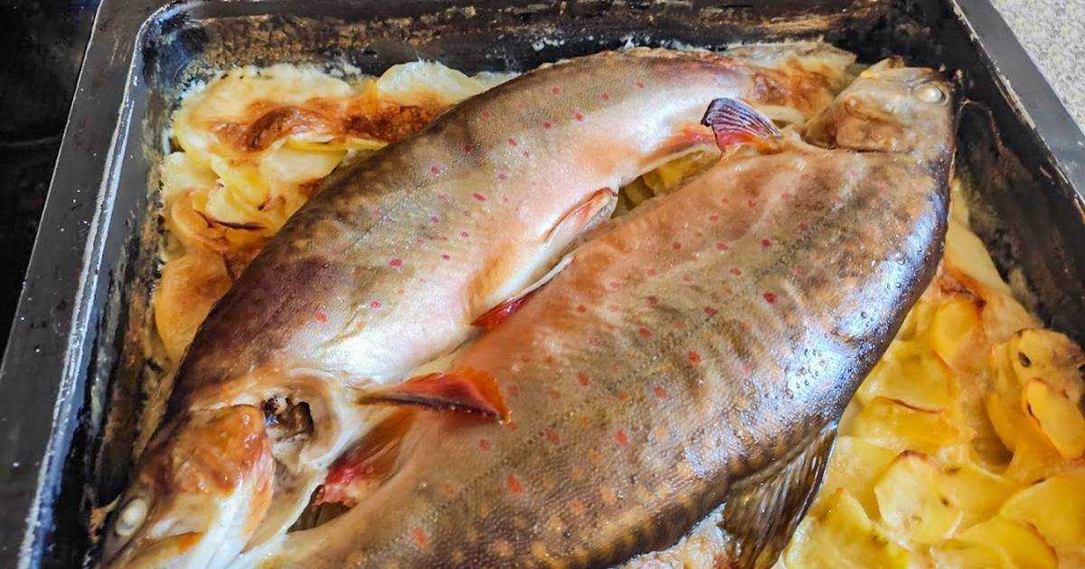 Маринад для шашлыка из рыбы: 9 лучших рецептов