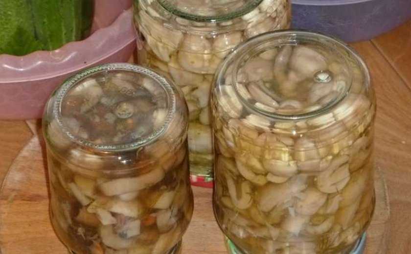 Как солить сыроежки на зиму, самые вкусные рецепты