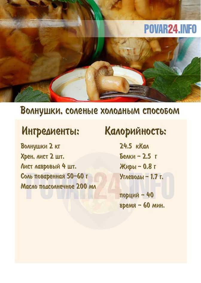 Как солить грибы белянки: способы