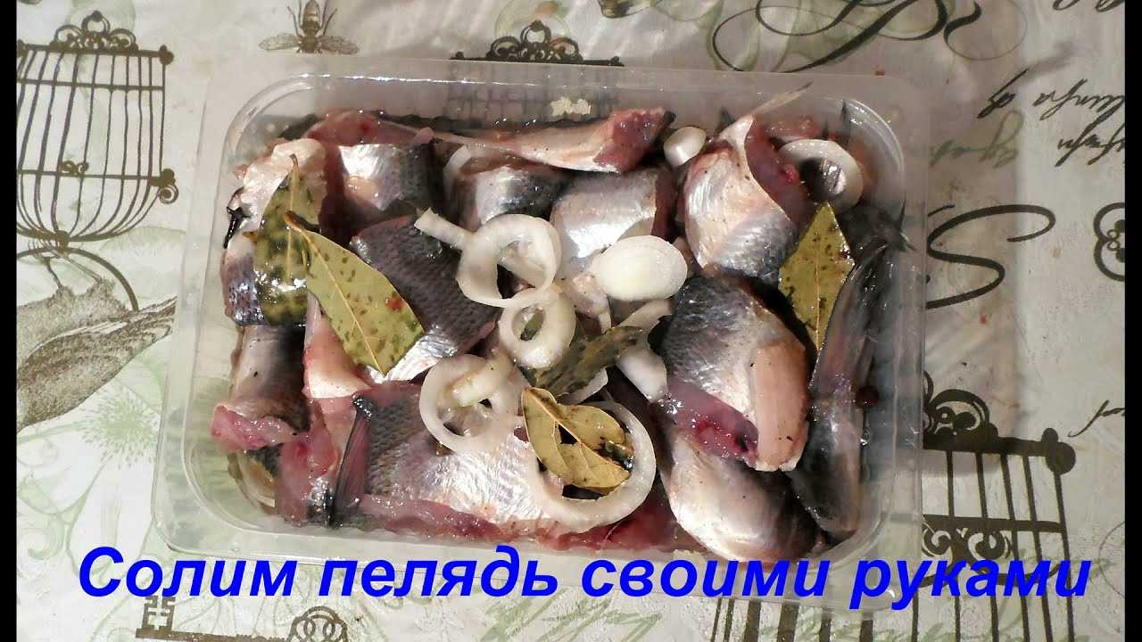 Как вкусно приготовить рыбу сырок? 5 рецептов пеляди в домашних условиях