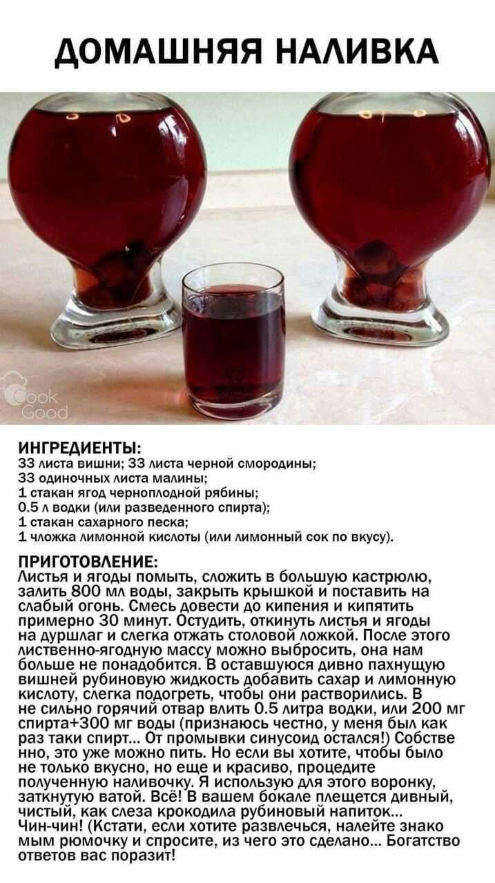 В чем разница между настойкой и наливкой?