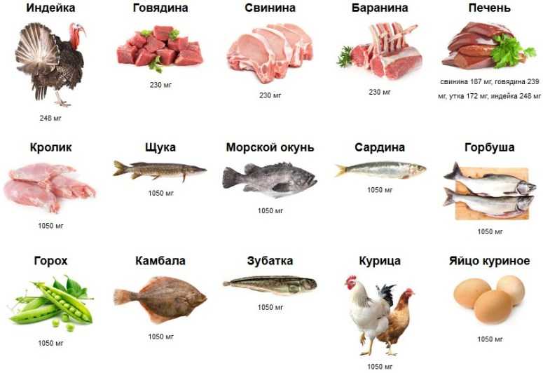 Почему таурин так важен для кошек