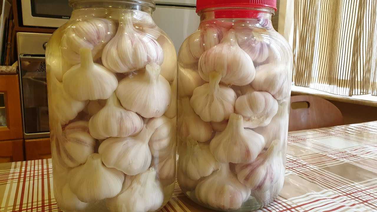 Вкусный чеснок на зиму: золотые рецепты с фото. топ - 10 лучших